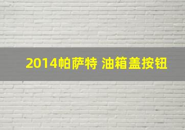 2014帕萨特 油箱盖按钮